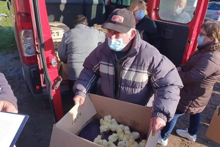 Donacija peradi obiteljskim gospodarstvima na području Lekenika